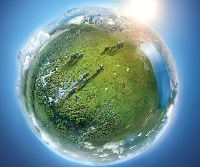 Nature's Epic Journey